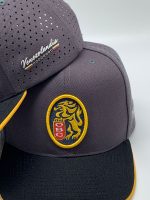 Gorra Leones del caracas curva - Imagem 5